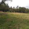 1,000 m² Residential Land in Ngong thumb 3