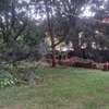 0.65 ac Residential Land at Mbaazi Avenue thumb 1