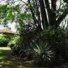 4 Bed House in Lavington thumb 6