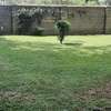 5 Bed Townhouse with En Suite in Lower Kabete thumb 19