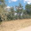 Land for sale in konza thumb 1