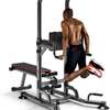 Dip station power tower with Dumbbell press Bench thumb 1