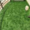 Grass carpets (7_7) thumb 0