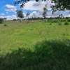 5,000 m² Land at Nanyuki Mount Kenya View thumb 9