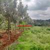 0.125 ac Residential Land at Migumoini thumb 16