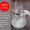 Heat resistant tea infuser kettle/mdrn thumb 1