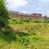 Commercial Land in Ruaka thumb 0