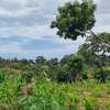 2 ac Land at Mtwapa thumb 19