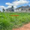 0.1 ha Residential Land at Lusigetti thumb 6