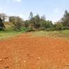 0.5 ac Residential Land at Muthithi thumb 1