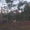 1 ac Land at Ruiru Githunguri Road thumb 14