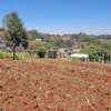 0.0113 ac Residential Land in Ngong thumb 3