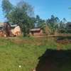 Spacious Rural Land Plot for Farming & Home thumb 0