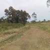 0.25 ac Land at Thika Greens Golf Estate thumb 3