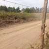 Kenol 40*80ft commercial plots for sale in Muranga county thumb 1