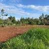 6,000 m² Land in Limuru thumb 11