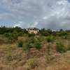 Land in Kilifi thumb 14