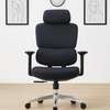 Premium Rolling Executive Office Chair thumb 0