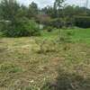 Lovely One Acre in Karen thumb 4
