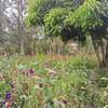 Kenol plots for sale and all land services thumb 0