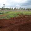 0.5 ac residential land for sale in Runda thumb 2