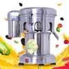 Professional Commercial Juice Extractor Vegetable Juicer thumb 2