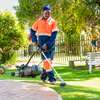 Best Garden Design, Landscaping & Gardening Services| Lawn Care & Yard Waste Removal thumb 4
