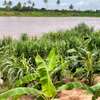 80,000 Acres Touching Galana River in Kilifi Is For Sale thumb 0