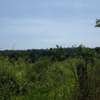 1,012 m² Residential Land in Vipingo thumb 9