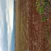 TIMAU LAIKIPIA SIDE 242 ACRES OF ARABLE LAND FOR SALE thumb 3