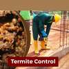 Best Fumigation & Pest Control Services Company Nairobi | Call in our experts today. We Are 24/7 thumb 4
