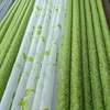 Top quality green curtains thumb 10