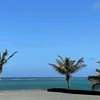 3 Bed Apartment with En Suite in Nyali Area thumb 15
