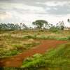 0.125 ac Commercial Land at Ruiru - Mugutha ( Kabogo) Road thumb 1