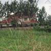 0.5 ac Land at Kiukenda Estate thumb 19