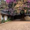 4 Bed House with En Suite in Loresho thumb 30