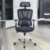 Ergonomic Mesh Office Chair – Adjustable Lumbar thumb 1