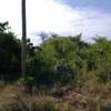 1/4 acre Land for sale in diani thumb 7