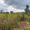 500 m² commercial land for sale in Kikuyu Town thumb 10