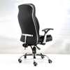 Executive Home Office Chair (Mini Recliner Chair) thumb 2