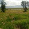Two Acres For Sale in Mwakini Taveta thumb 1