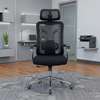 Office Chairs : High-back Ergonomic Office Chair thumb 2