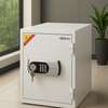 Fireproof Safe; 50 Kgs Diplomat Fireproof Safe in Ogembo thumb 0
