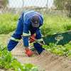 Bestcare Labour Hire & Skilled Trade Services in Mombasa thumb 5