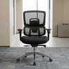 Orthopedic Ergonomic Office Chair thumb 0