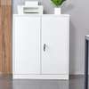 Office Cabinet: 2-Door Office Cabinet In Gesima thumb 1