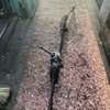 Steering rack Mazda cx5 2014 thumb 0