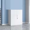 Office Cabinet; 2-Door Metal Filing Cabinet thumb 6