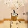 Indoor Luxurious Golden Decorative Plant Stand thumb 3