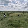 Land for sale in konza thumb 4